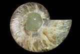 Agatized Ammonite Fossil (Half) - Madagascar #139668-1